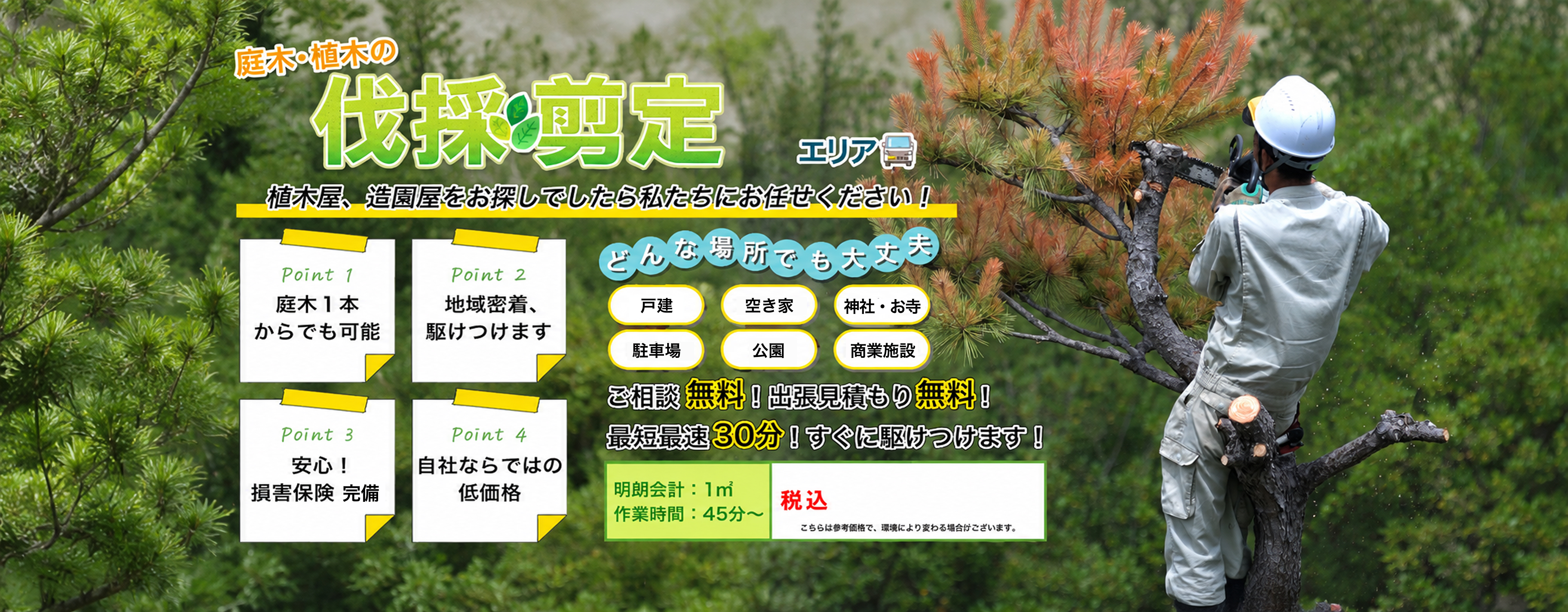 庭木・植木の伐採・剪定　植木屋、造園屋をお探しでしたら上野伐採にお任せください！