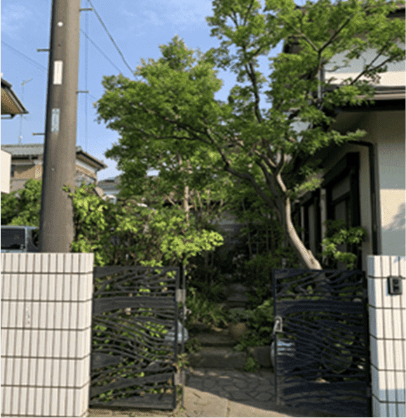 岩手県久慈市 刈り込み枝落とし